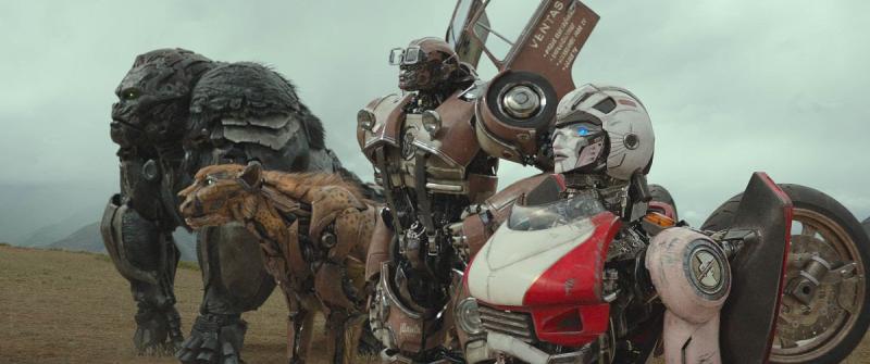 Los Autobots y Maximals mantienen su alianza en formato digital