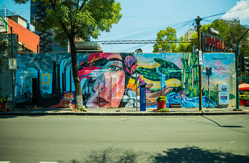 Artistas transformaron la CDMX con murales ecológicos 