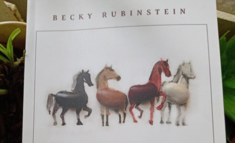 Becky Rubinstein presentará su novela “Las cuatro Paolinas Polinsky”