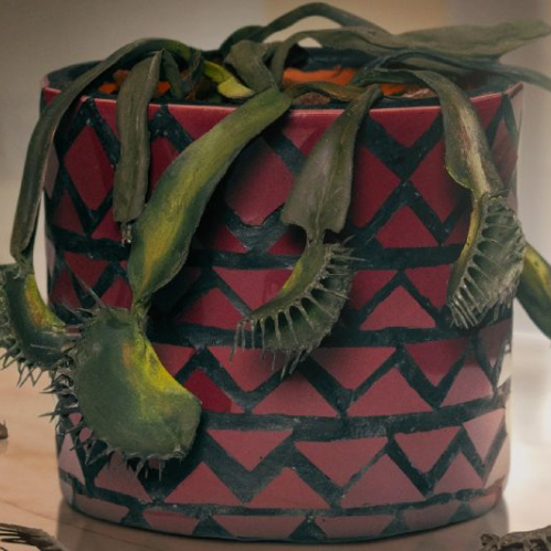 Póster promocional con una planta carnívora en una maceta decorada, acompañada de elementos visuales que evocan tensión y humor ácido.