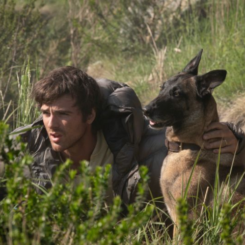 El actor Jacob Elordi caracterizado como Hig en la película La Guerra de los Últimos, agachado entre matorrales altos y vegetación seca junto a un perro de raza Pastor Belga Malinois. Elordi viste una chamarra térmica abultada de color gris y mira fijamente con expresión concentrada hacia la izquierda mientras sostiene al perro por el cuello con su mano derecha.