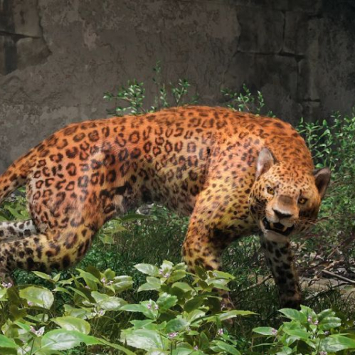 Render detallado del Leopardo en un entorno selvático con vegetación densa y muros de piedra. La criatura aparece encorvada en postura de caza sobre plantas verdes, mostrando su pelaje moteado en tonos naranjas y negros.