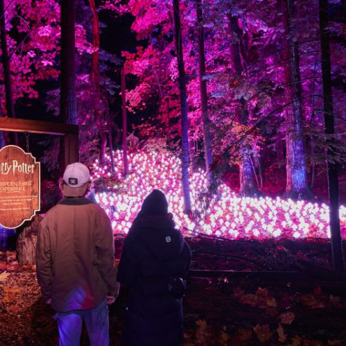Dos personas vistas de espaldas caminan por un sendero nocturno rodeado de árboles iluminados con luces de tonos magenta y morado. Del lado izquierdo destaca un letrero de madera con la leyenda Harry Potter Forbidden Forest Experience. Al fondo, el suelo del bosque está cubierto por una instalación de pequeñas luces brillantes agrupadas que simulan elementos mágicos.