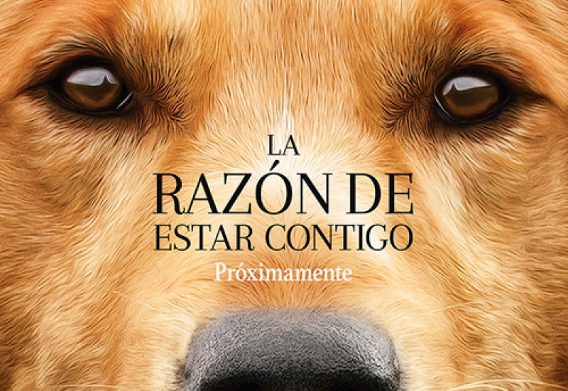 PoluxWeb - Reseña: “La razón de estar contigo”