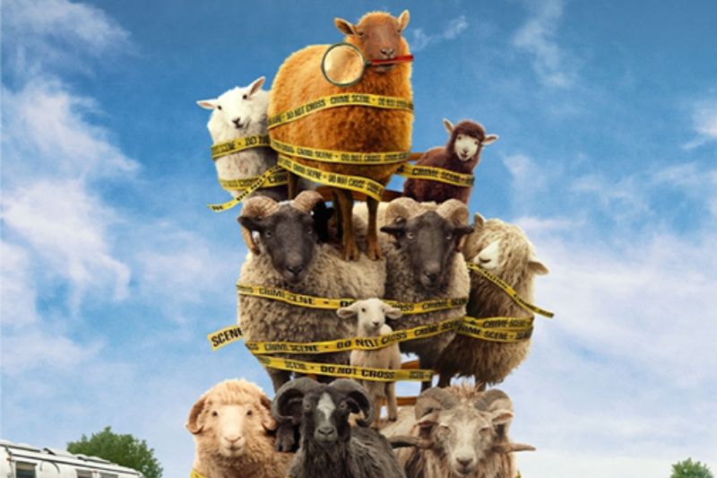 Póster con un grupo de ovejas apiladas en formación, envueltas en cintas de investigación, en un entorno campestre bajo cielo despejado.