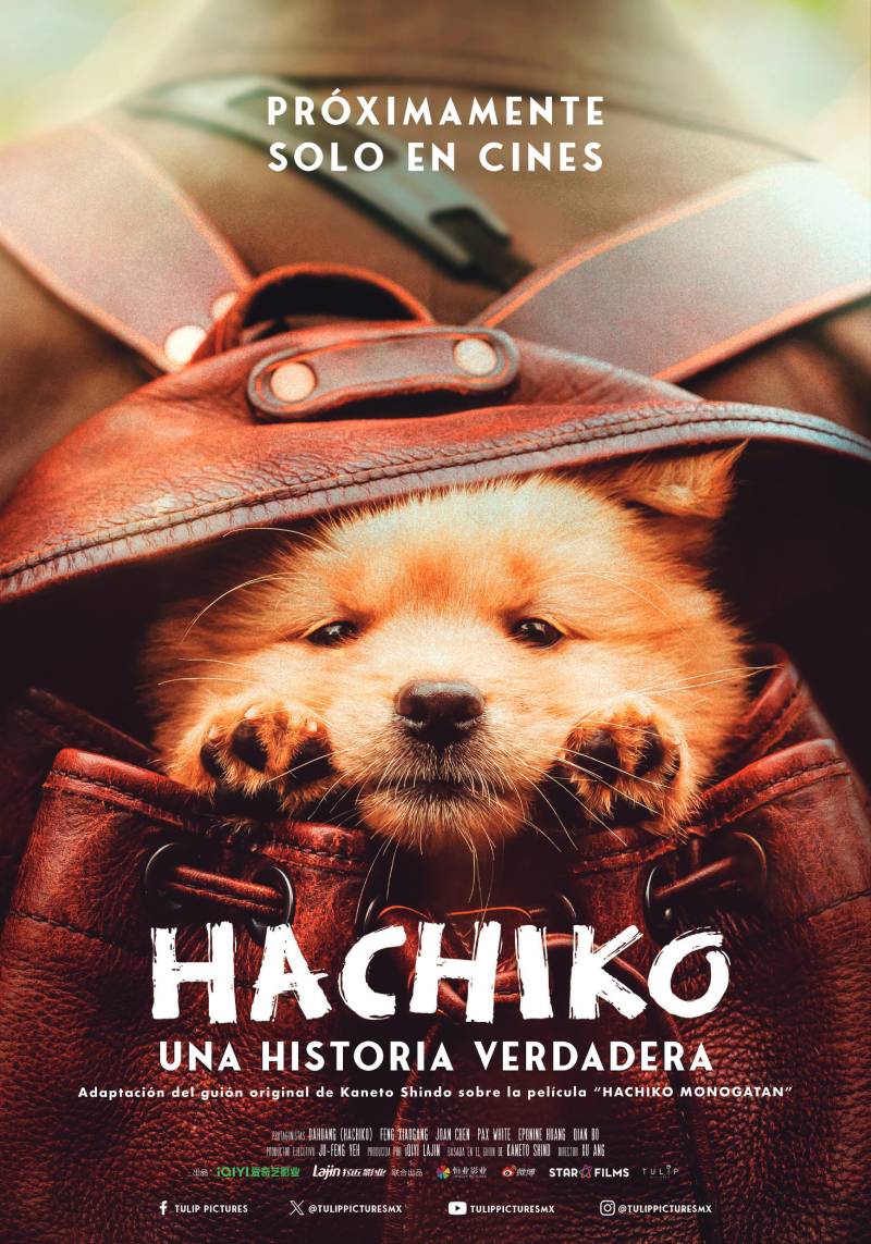 Reseña: “Hachiko: Una historia verdadera”