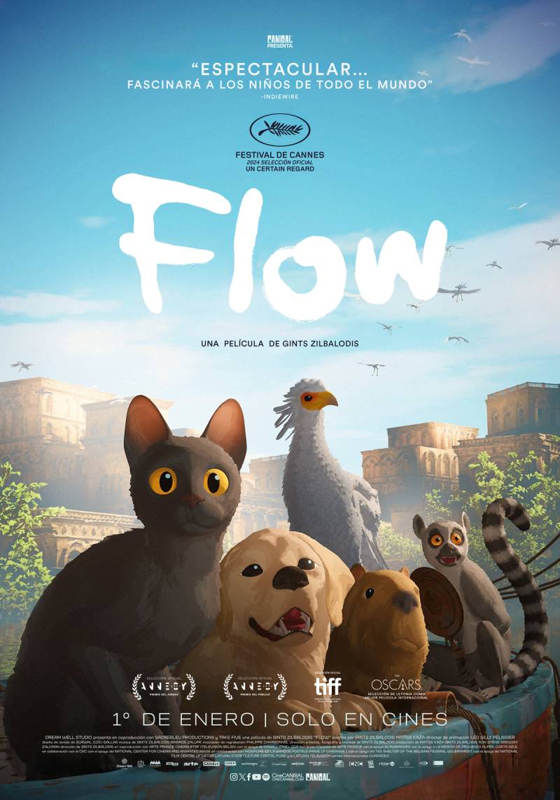 Reseña: “Flow”