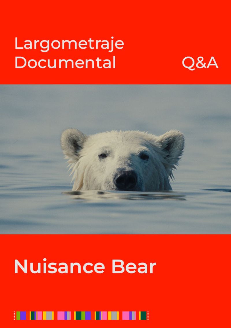Reseña | “Nuisance Bear”: Un documental visualmente deslumbrante sobre adaptación y supervivencia