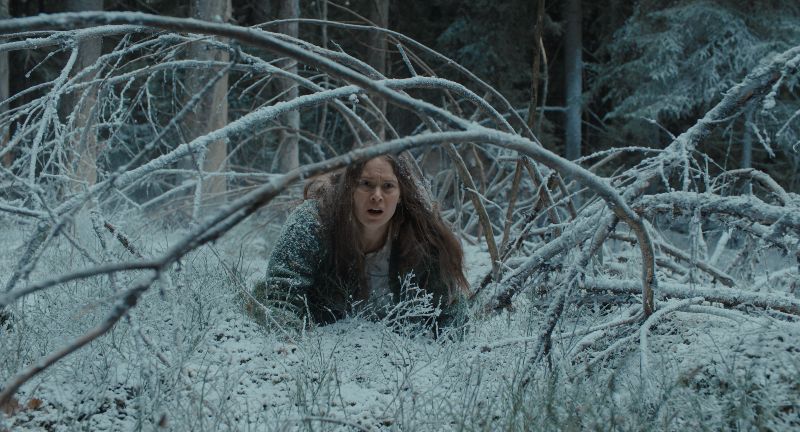 Persona arrodillada sobre nieve entre ramas caídas en un bosque invernal.
