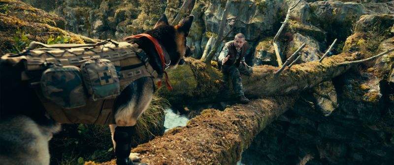 El perro Odín equipado con chaleco táctico cruzando un tronco caído sobre un abismo mientras Brad Pitt lo alienta desde el otro extremo.
