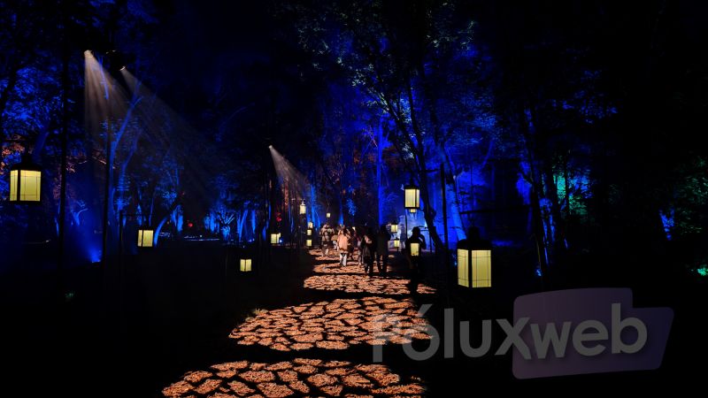 “Harry Potter: La Experiencia del Bosque Prohibido” convierte el Parque Naucalli en un rincón del mundo mágico