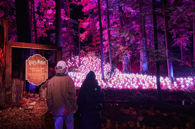 Dos personas vistas de espaldas caminan por un sendero nocturno rodeado de árboles iluminados con luces de tonos magenta y morado. Del lado izquierdo destaca un letrero de madera con la leyenda Harry Potter Forbidden Forest Experience. Al fondo, el suelo del bosque está cubierto por una instalación de pequeñas luces brillantes agrupadas que simulan elementos mágicos.