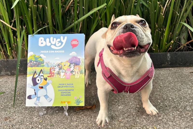 La diversión de Bluey llega en una nueva colección de estampas Panini