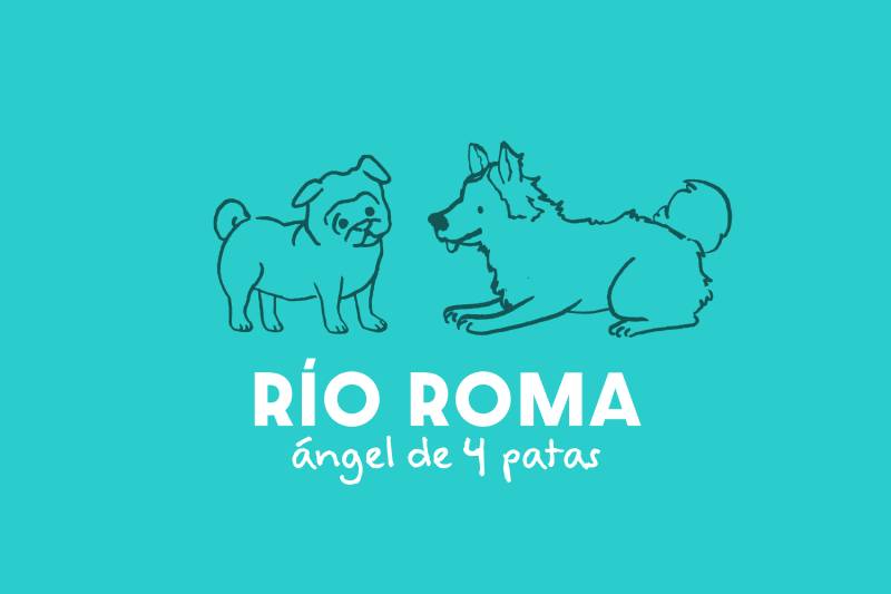 Río Roma derrocha amor por los lomitos en video de su nuevo sencillo 