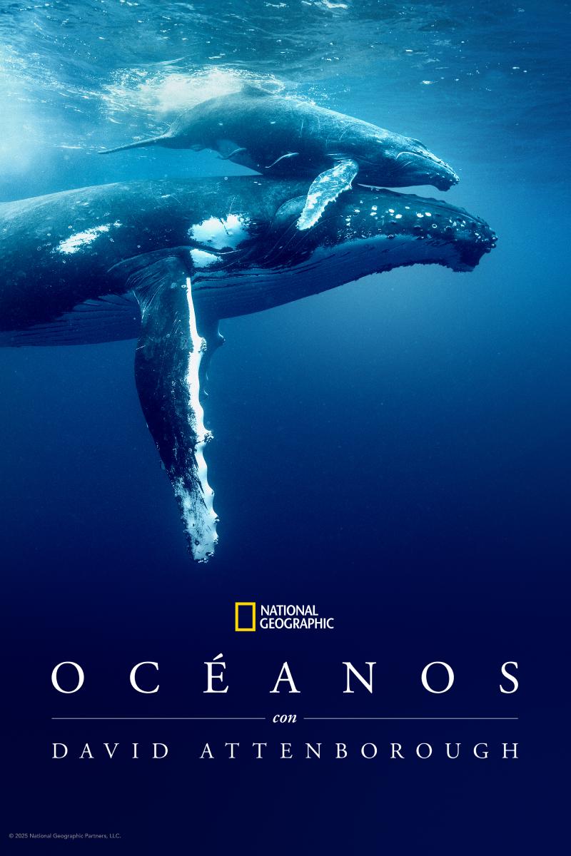 Reseña: “Océanos con David Attenborough”