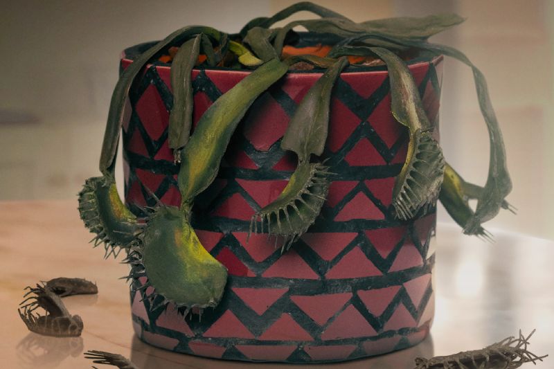 Póster promocional con una planta carnívora en una maceta decorada, acompañada de elementos visuales que evocan tensión y humor ácido.