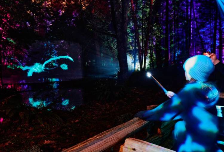 El universo mágico de J.K. Rowling se instala en el Parque Naucalli con una experiencia inmersiva única